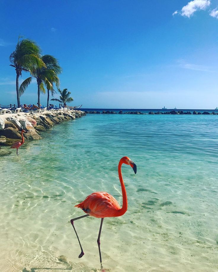 Aruba, Aruba
